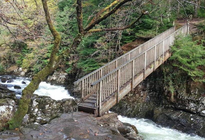 스탠다드 룸 킹사이즈 침대, Bod Gwynedd Bed And Breakfast