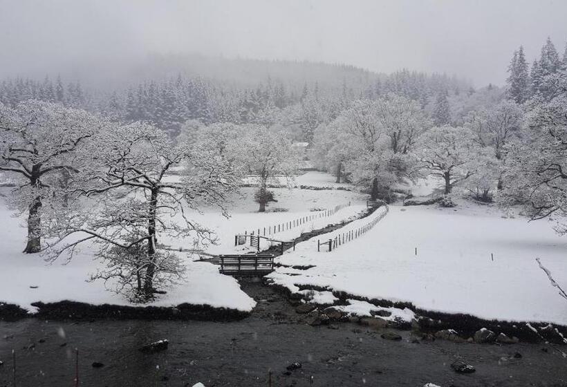 스탠다드 룸 킹사이즈 침대, Bod Gwynedd Bed And Breakfast