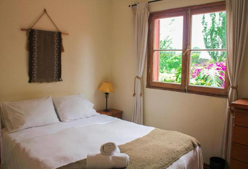 חדר סטנדרט, El Arbol Hostel