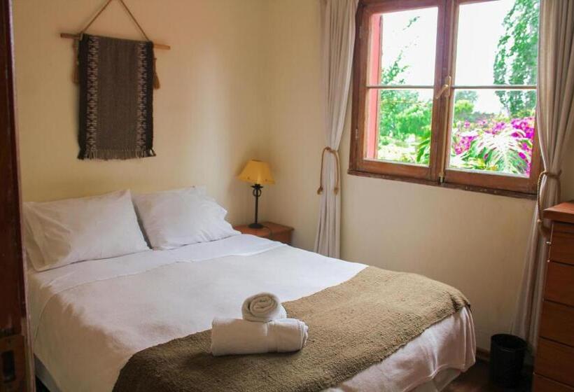 חדר סטנדרט, El Arbol Hostel