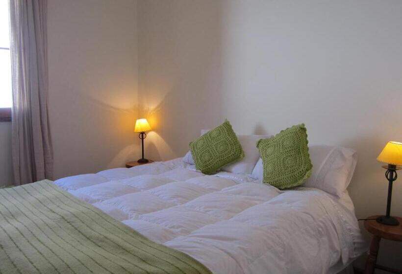 חדר סטנדרט, El Arbol Hostel