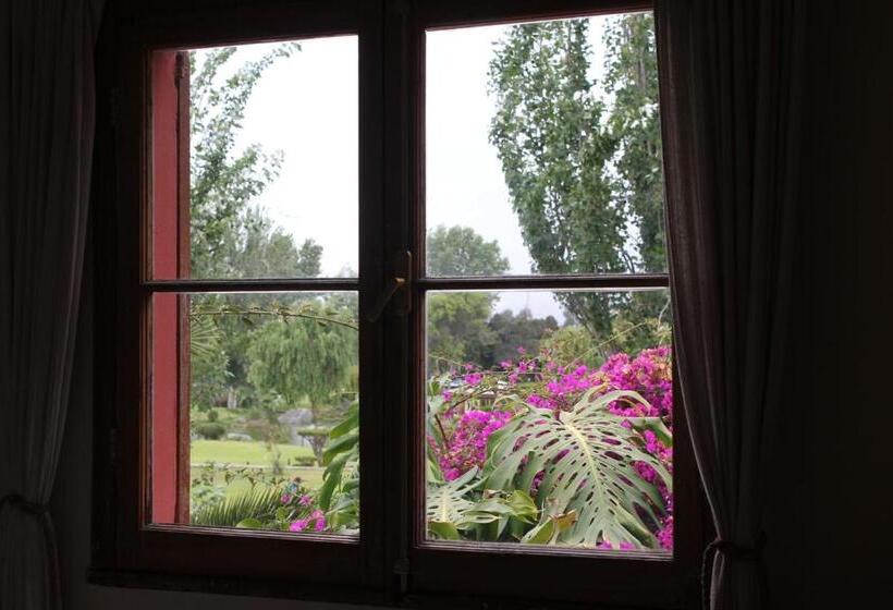 חדר סטנדרט, El Arbol Hostel