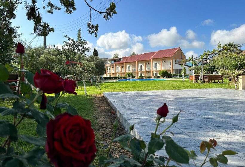 标准工作室, Aggelos Family