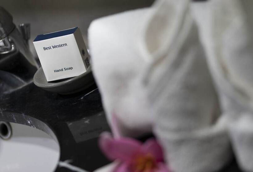 이그제큐티브 룸, Best Western The Lagoon