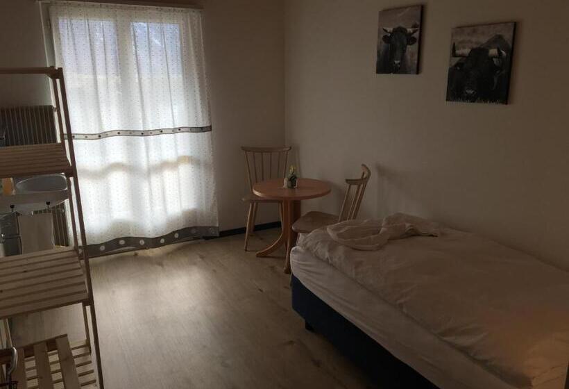 Номер Economy Индивидуальный, Gasthaus   Restaurant Simplon Va Hie