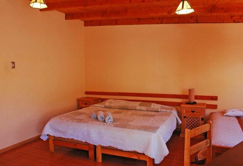 Номер Стандарт, Quechua