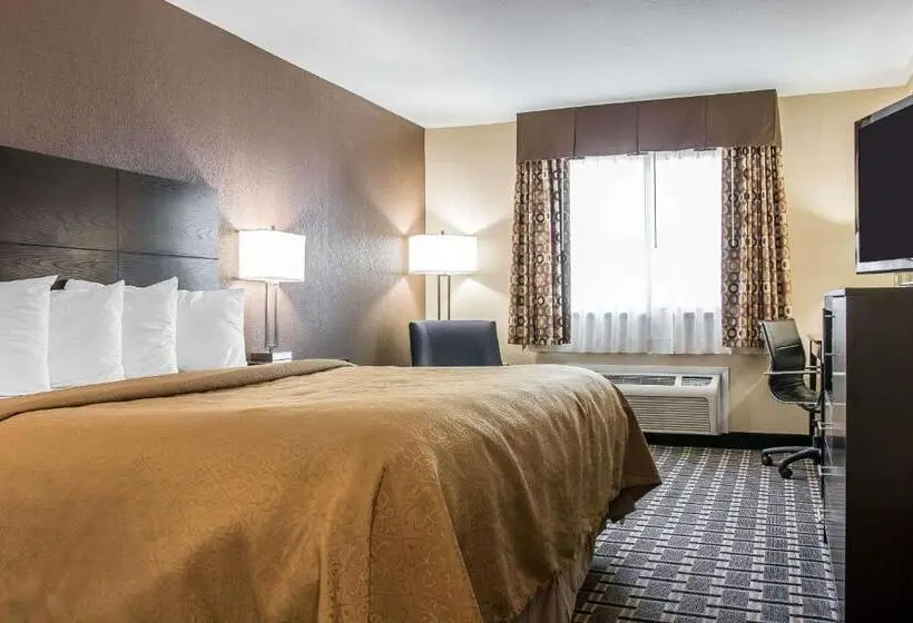 Standard-huone King-vuode, Quality Inn Grand Rapids South Byron Center