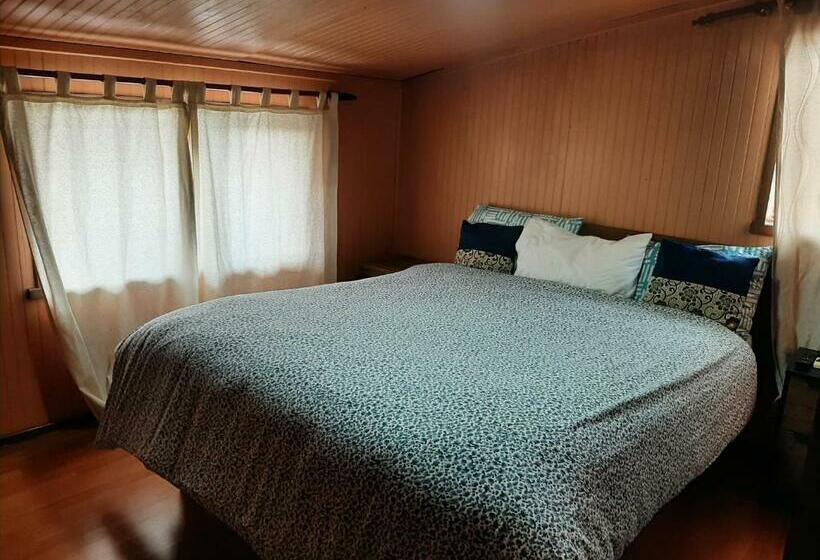 スタンダードルーム, Wool & Wood House