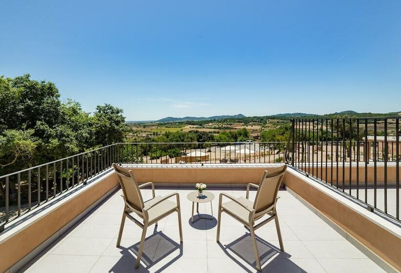 Номер Стандарт с Террасой, Agroturismo Ses Vistes