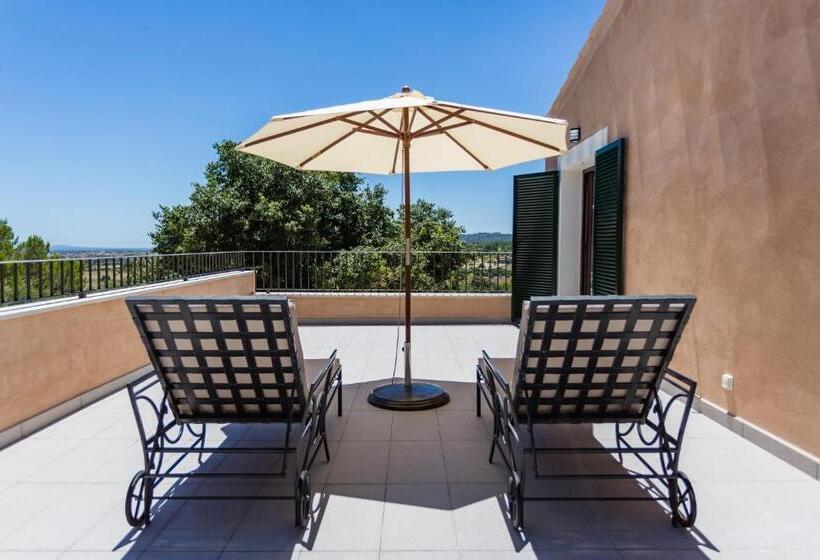 Люкс Повышенной Комфортности, Agroturismo Ses Vistes