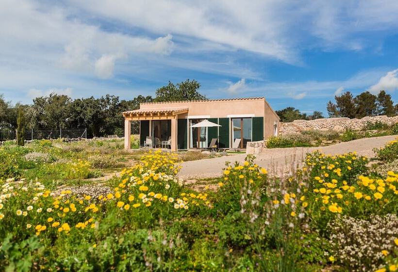 Люкс Superior, Agroturismo Ses Vistes