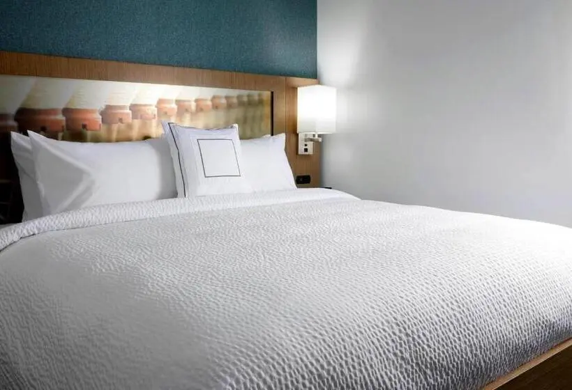 身障者適用キングサイズベッドルーム, Courtyard By Marriott Charlotte Fort Mill, Sc