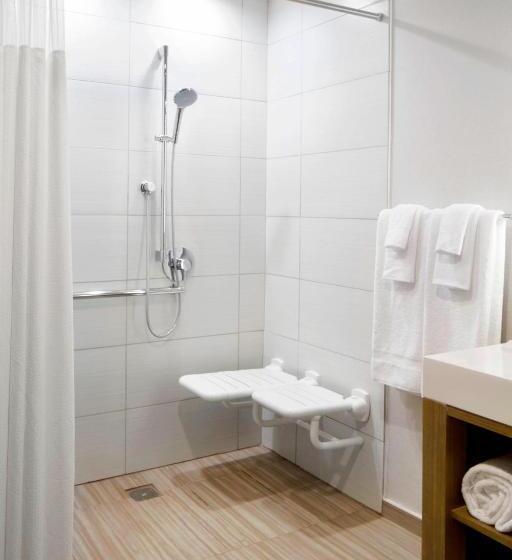 غرفة قياسية سرير كينج لذوى الإحتياجات الخاصة, Courtyard By Marriott Charlotte Fort Mill, Sc