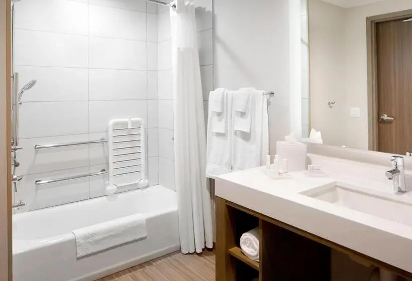 身障者適用キングサイズベッドルーム, Courtyard By Marriott Charlotte Fort Mill, Sc