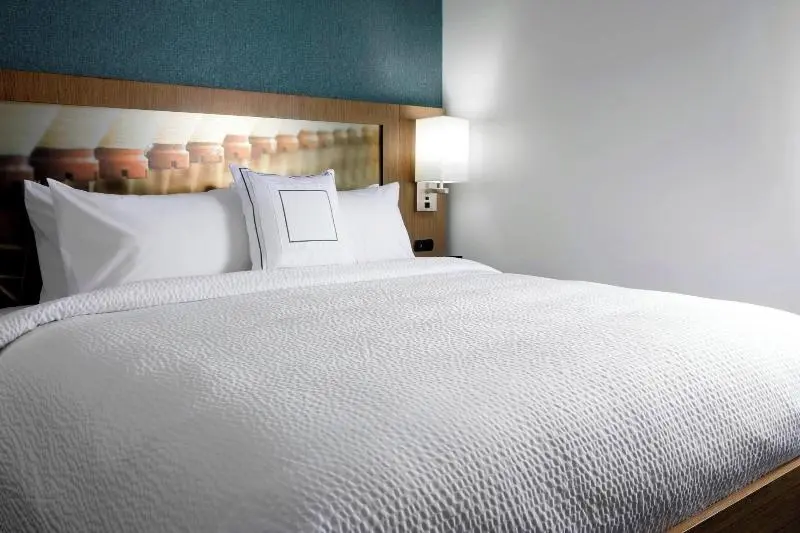 キングサイズベッドのスイートルーム, Courtyard By Marriott Charlotte Fort Mill, Sc