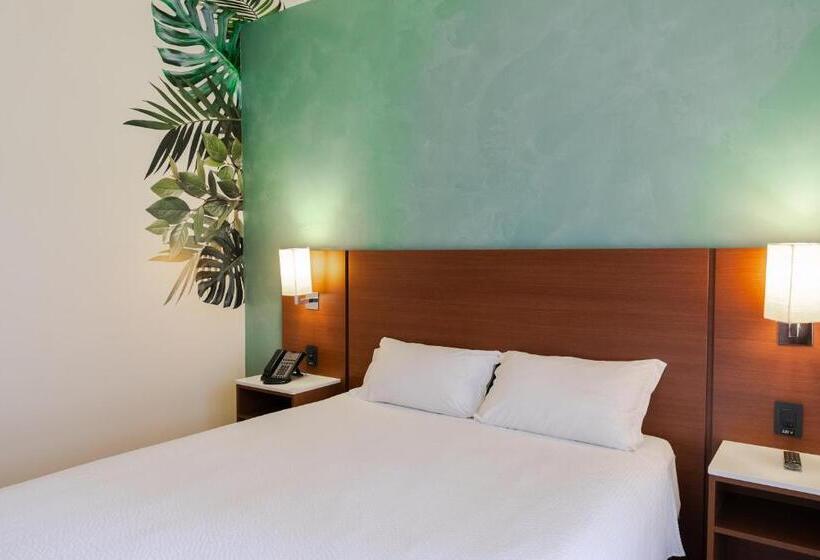 Апартаменты 1 Спальня, Ibis Styles Curitiba Aeroporto