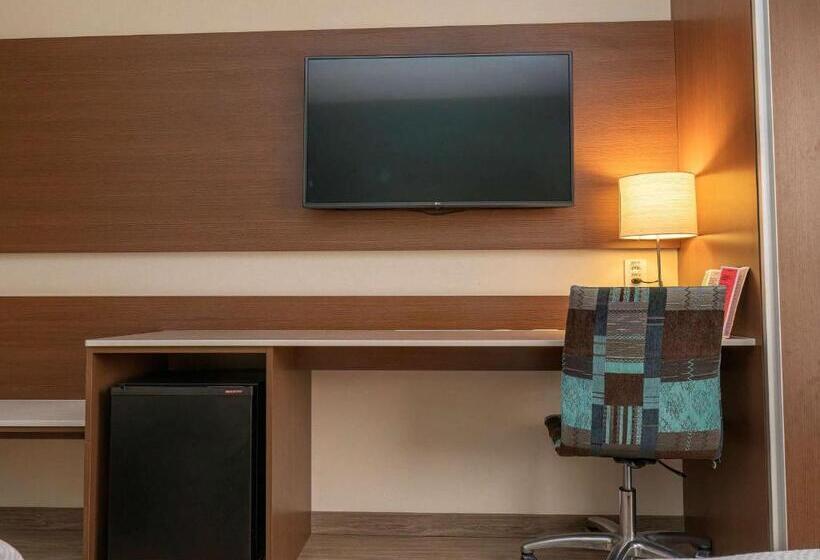 Апартаменты 1 Спальня, Ibis Styles Curitiba Aeroporto