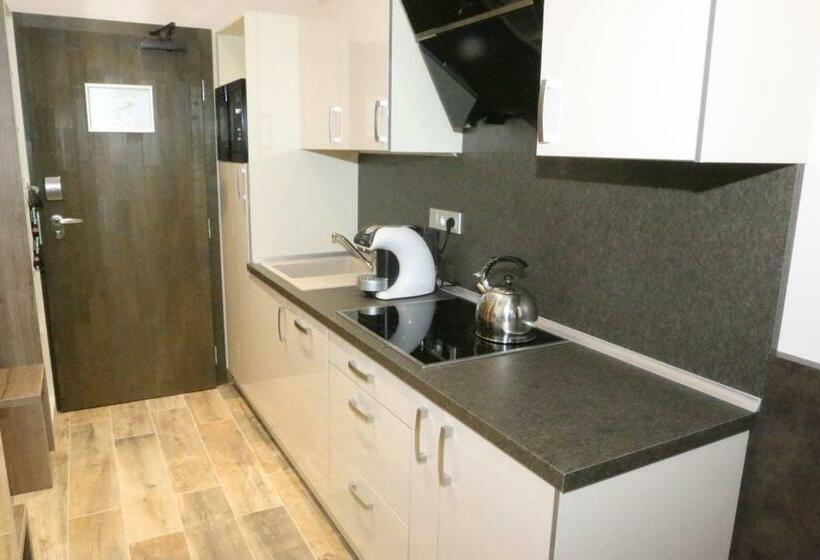 סטודיו סטנדרט מיטה זוגית, Apartment Hotel Orion