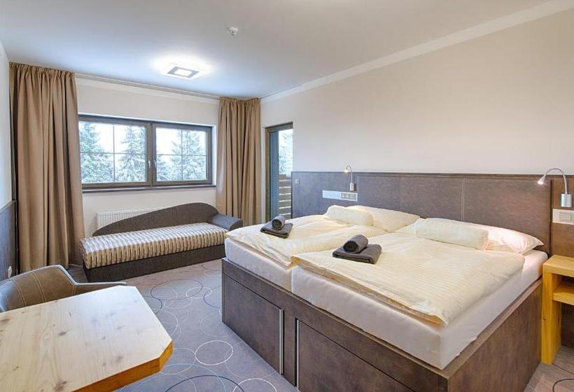 חדר סטודיו סטנדרד, Apartment Hotel Orion