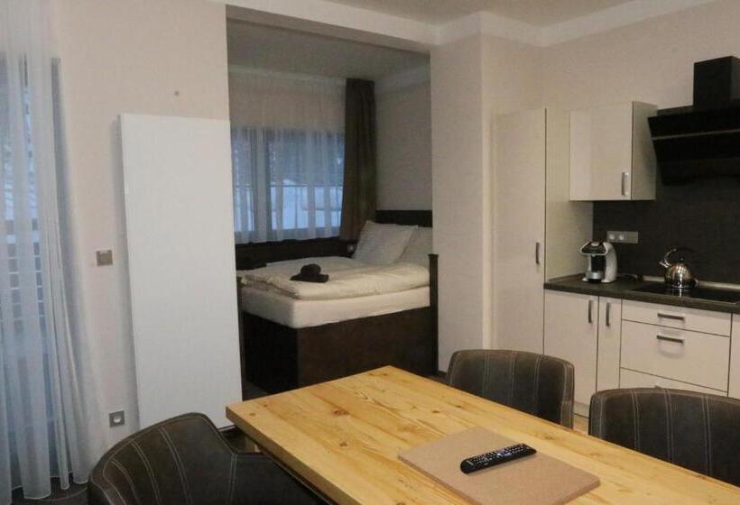 סטודיו סטנדרט עם מרפסת, Apartment Hotel Orion