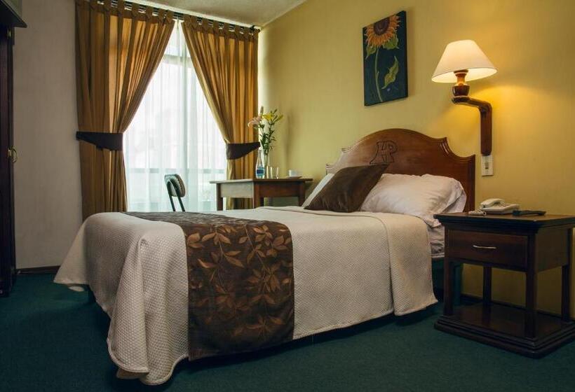 Номер Стандарт Индивидуальный, Podocarpus