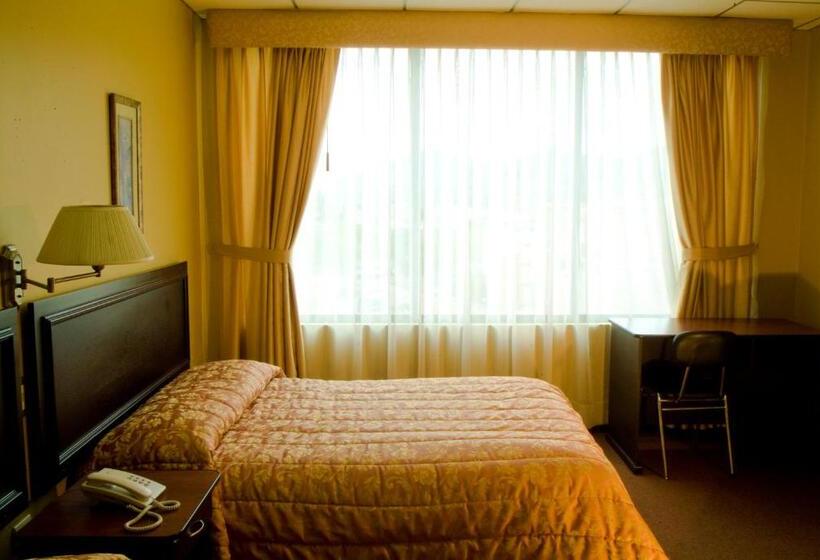 Номер Стандарт, Podocarpus