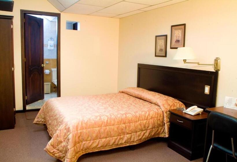 Номер Стандарт, Podocarpus