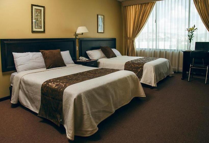 Номер Стандарт, Podocarpus