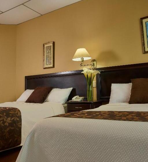 Номер Стандарт, Podocarpus