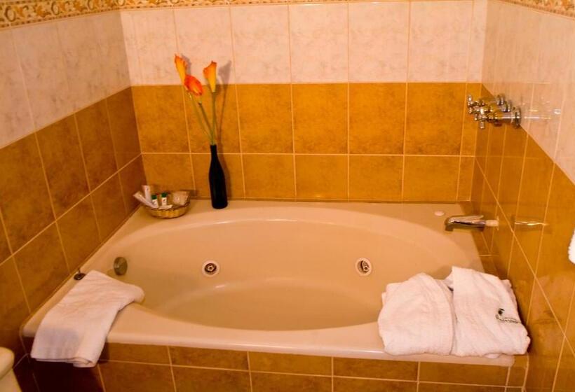 Номер Стандарт Трехместный, Podocarpus