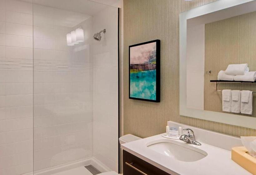 Студио Стандарт Кровать Кинг, Towneplace Suites By Marriott Foley At Owa