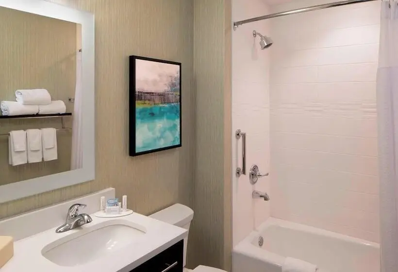 Standard-studio, Towneplace Suites By Marriott Foley At Owa