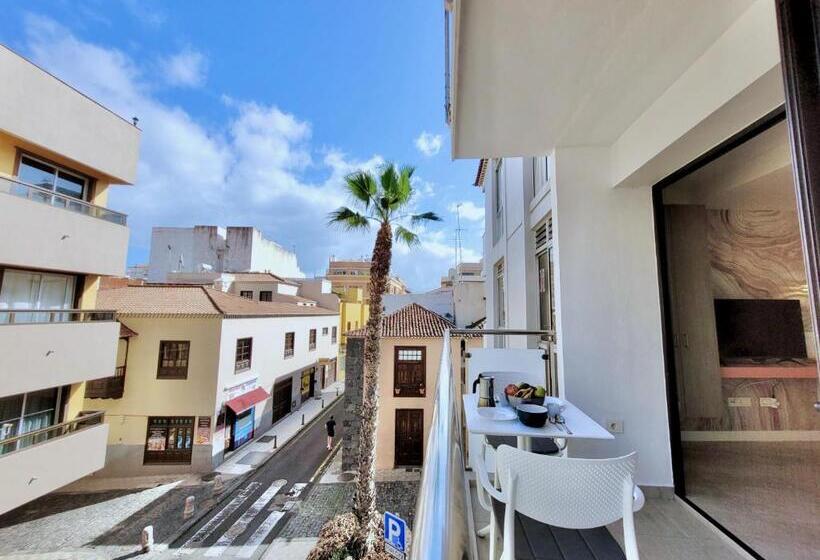 إستوديو ديلوكس, North Coast Apartments