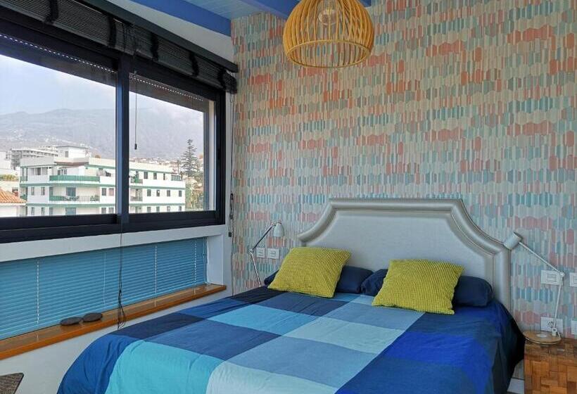 شقة ديلوكس غرفة نوم واحدة, North Coast Apartments