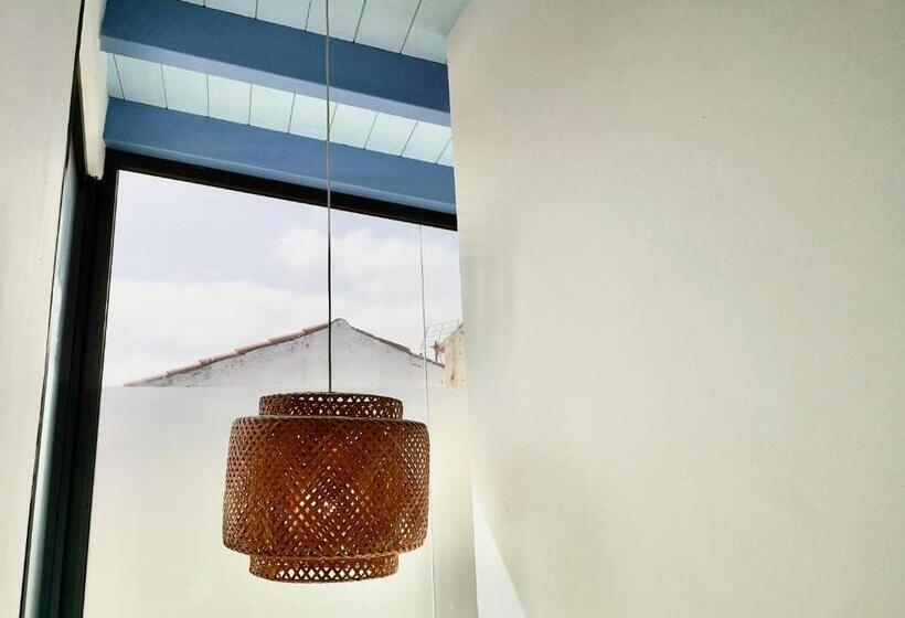 شقة ديلوكس غرفة نوم واحدة, North Coast Apartments