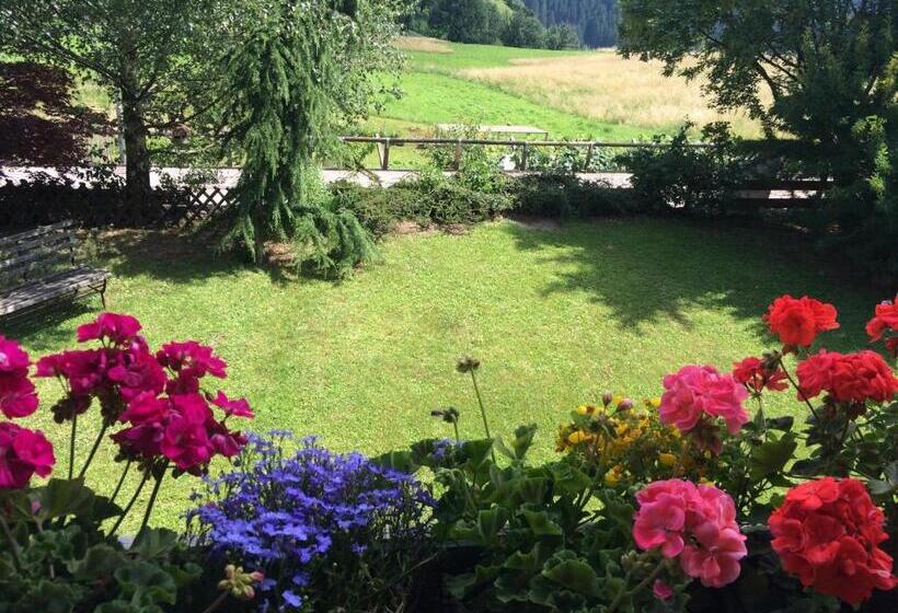 景色の見える一ベッドルームアパートメント, B&b Pichler Casa