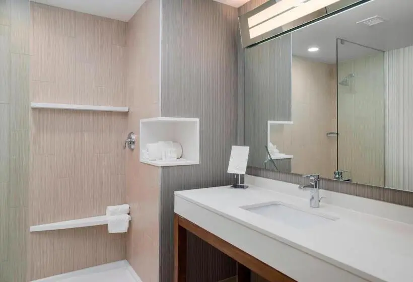 Sviitti King-vuode, Courtyard By Marriott Niagara Falls, Usa