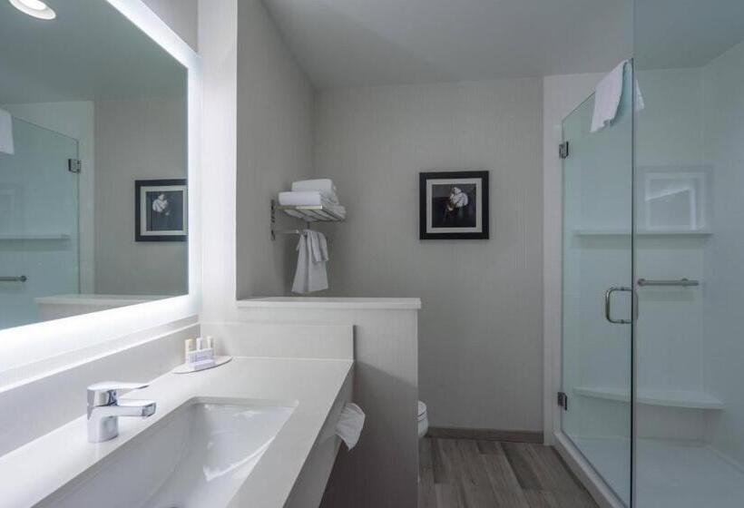 غرفة قياسية سرير كينج, Fairfield Inn & Suites By Marriott Lubbock Southwest