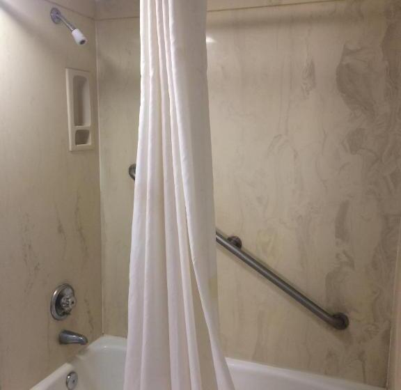 اتاق استاندارد با تخت بزرگ, Gulf American Inns