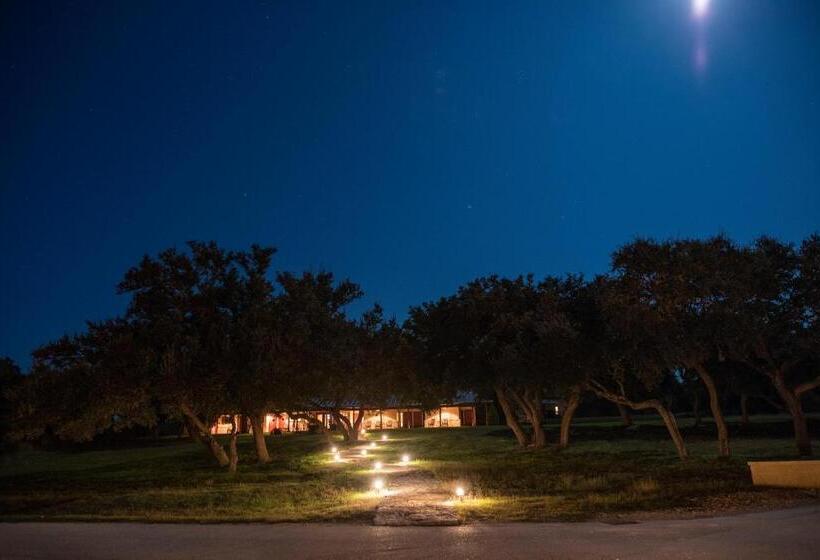 스탠다드 룸 킹사이즈 침대, Joshua Creek Ranch