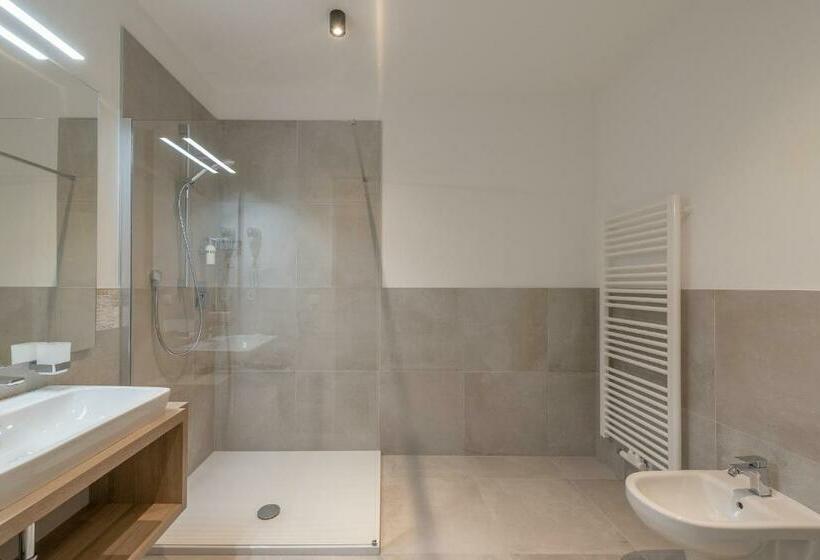 غرفة قياسية مزوَّدة بشُرفة, Vineus Tramin