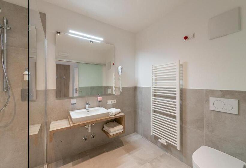 غرفة قياسية مزوَّدة بشُرفة, Vineus Tramin