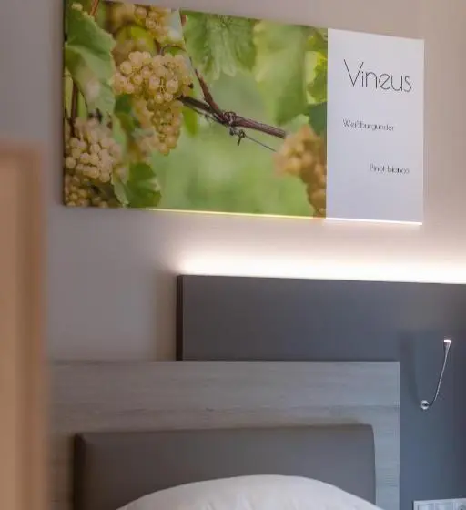 Standard Yhden Hengen Huone Parveke, Vineus Tramin