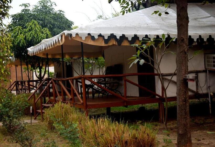 Standard Tent, Sultan Bagh Resort By The Sky Imperial