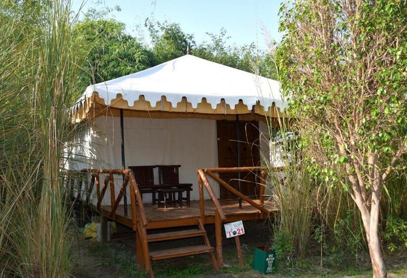 Standard Tent, Sultan Bagh Resort By The Sky Imperial