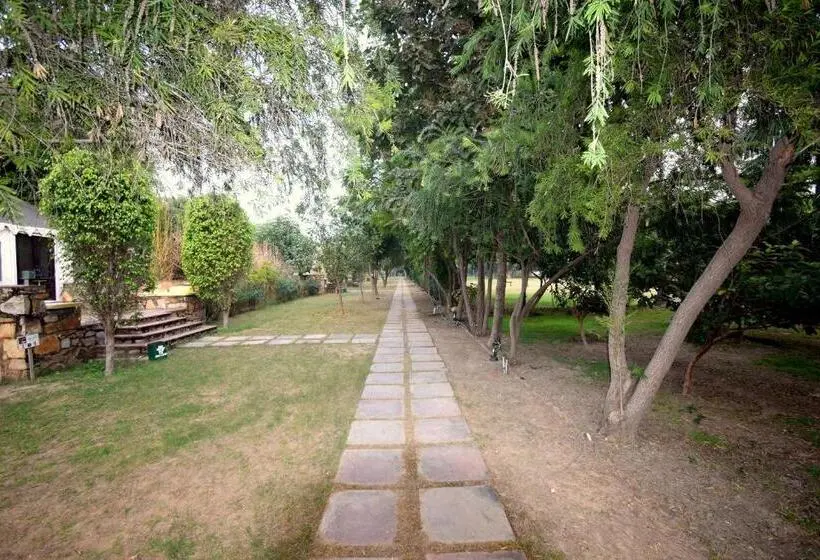 キングサイズベッドのスタンダードルーム, Sultan Bagh Resort By The Sky Imperial