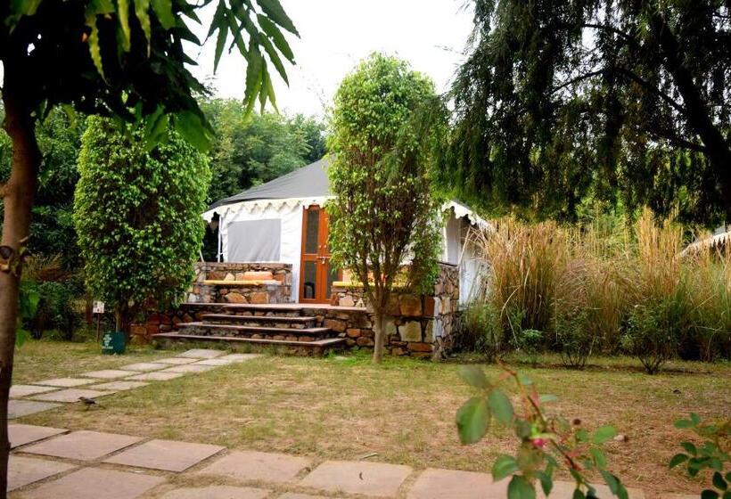 חדר סטנדרט עם מיטת קינג, Sultan Bagh Resort By The Sky Imperial