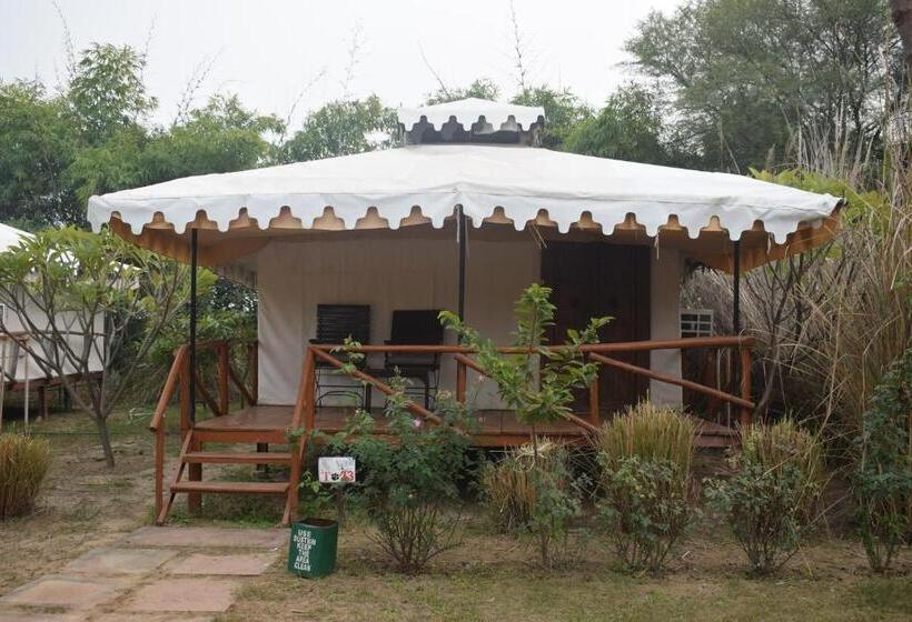 Standard Tent, Sultan Bagh Resort By The Sky Imperial