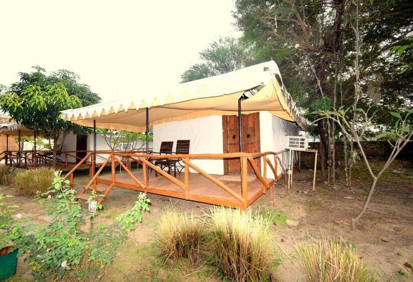 Standard Tent, Sultan Bagh Resort By The Sky Imperial