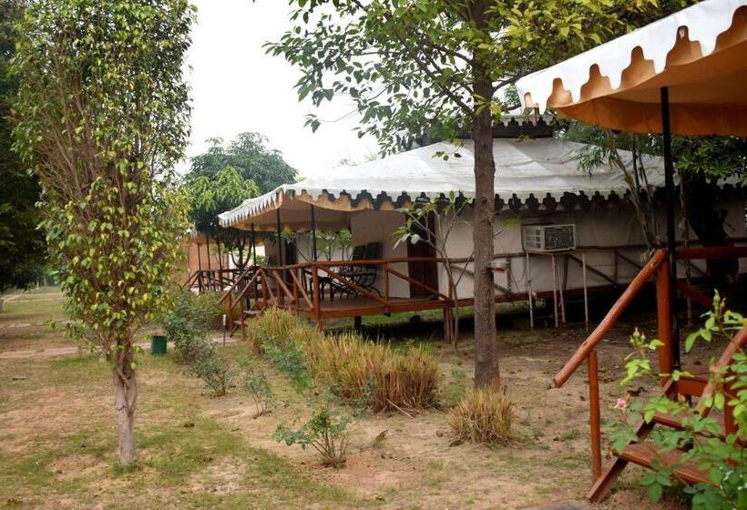 Standard Tent, Sultan Bagh Resort By The Sky Imperial